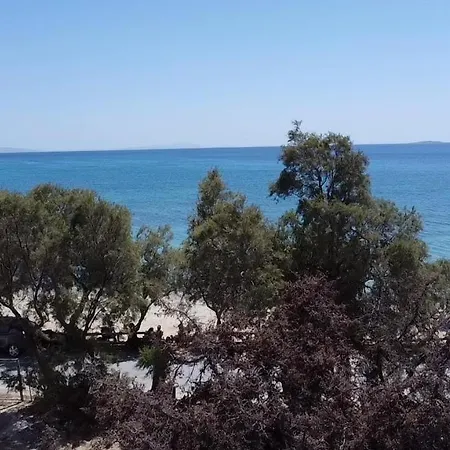 Sun & Sea Suites-apartments Agia Anna Naxos 3* Agia Anna (Naxos)