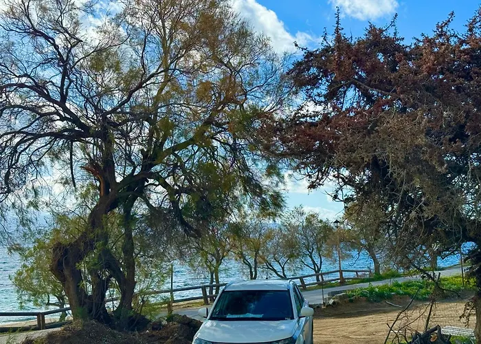 Sun & Sea Suites-apartments Agia Anna Naxos