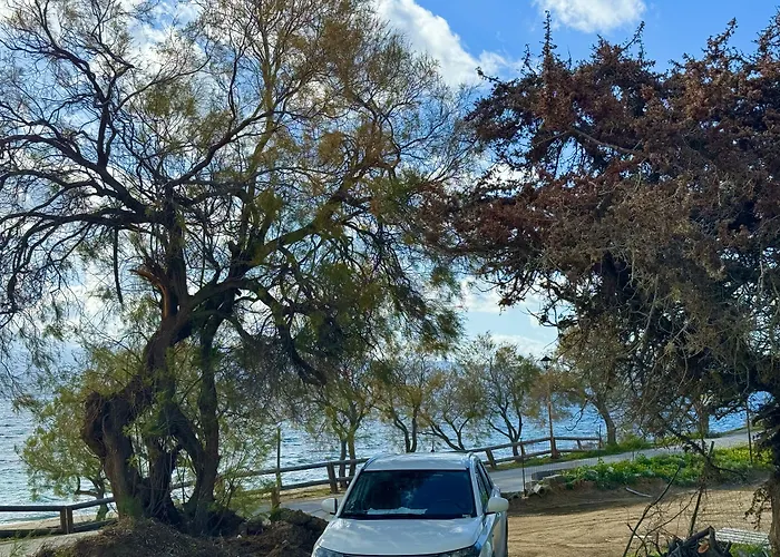 Sun & Sea Suites-apartments Agia Anna Naxos 아파트호텔 Agia Anna (Naxos)